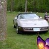 traceyanders886